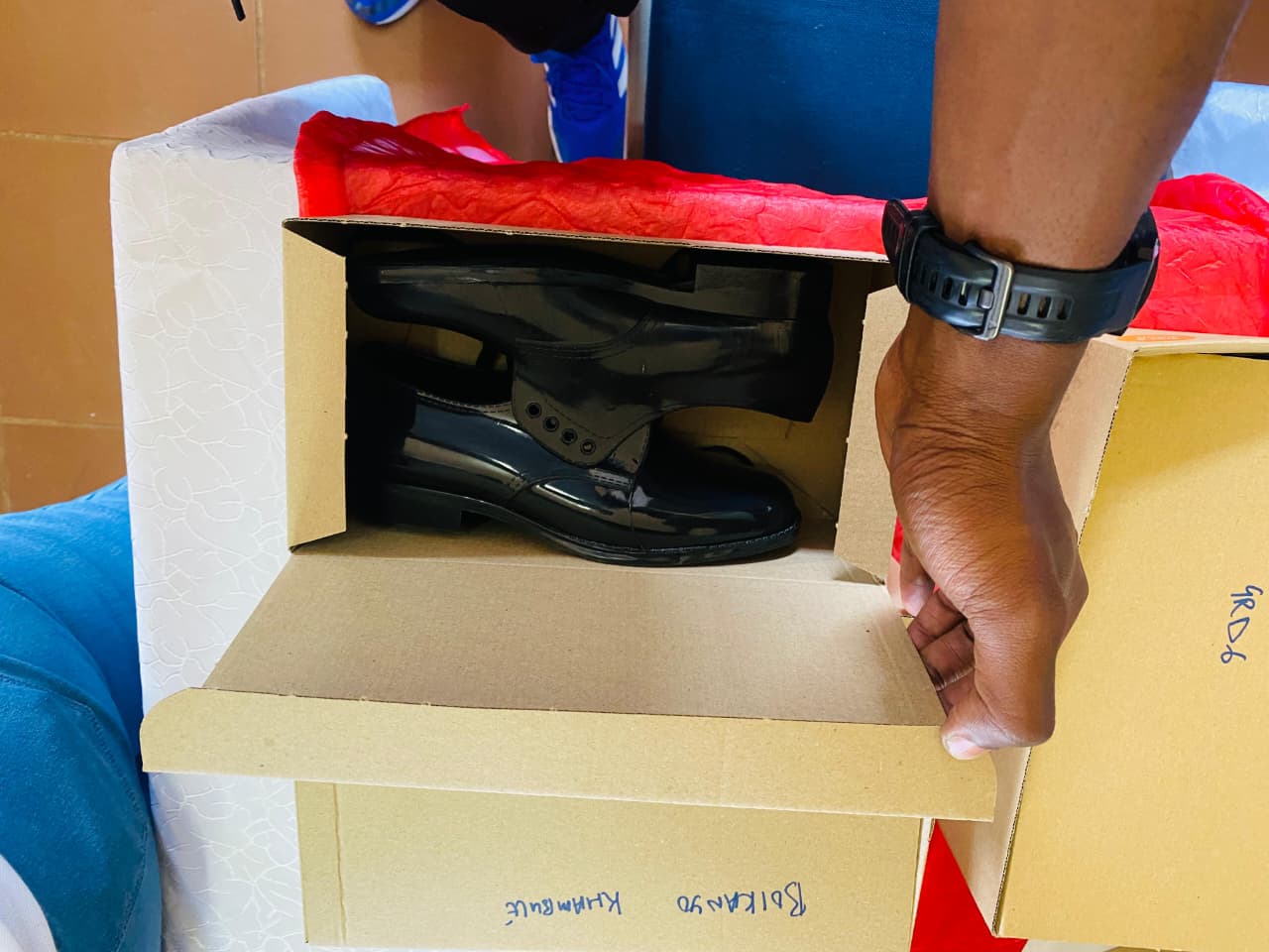 Mochochonono Walk With Pride